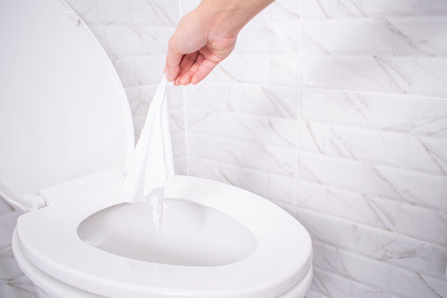 Can all biodegradable wipes be flushed?