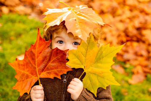 Five fun autumn activities for kids
